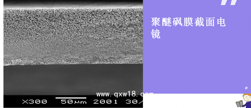聚醚砜膜 0.2微米精密藥液過(guò)濾器