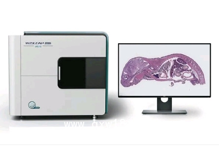 病理切片掃描儀