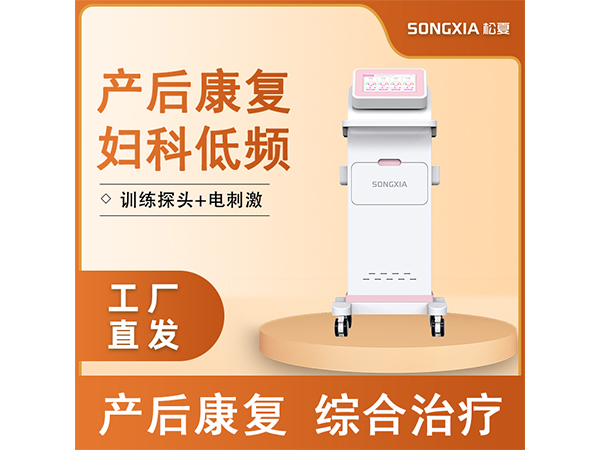 產(chǎn)后康復(fù)儀/婦科低頻脈沖治療儀/盆底康復(fù)治療儀/低頻脈沖