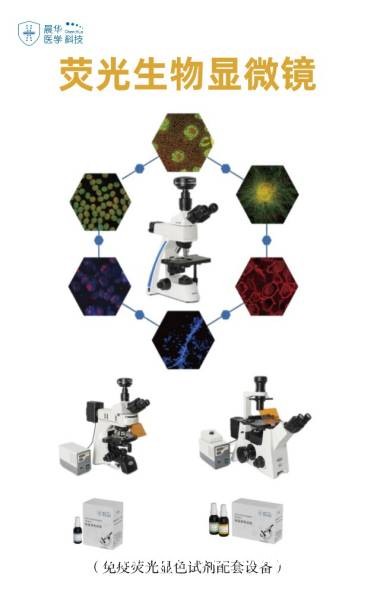 真菌熒光免疫染色試劑一步法