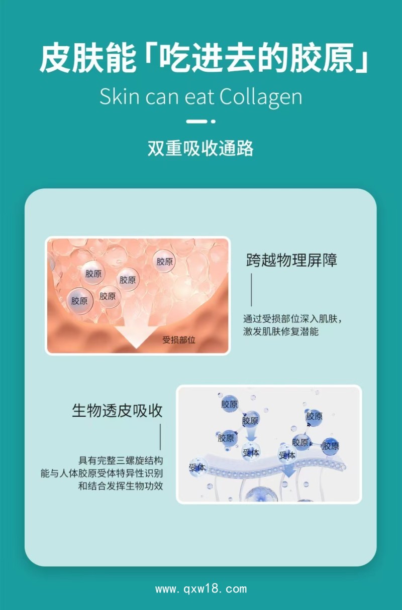 膠原貼敷料（）—三類文號—廠家直銷 可貼牌代加工