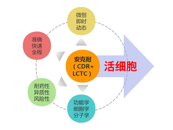 新一代活性循環(huán)腫瘤細(xì)胞檢測（安克耐?）