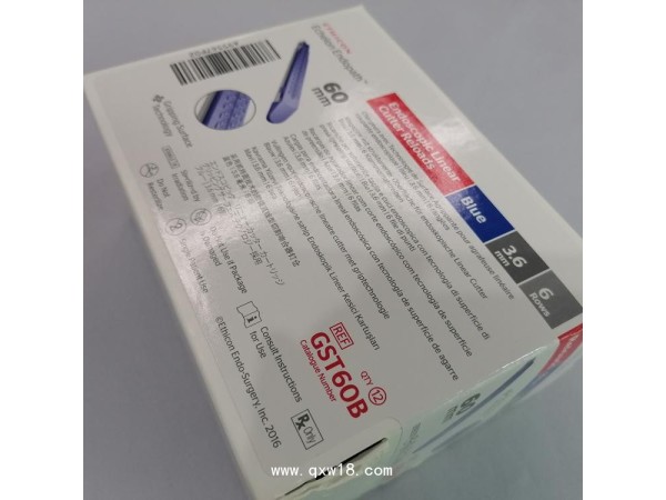 強生釘倉GST60B GST60D GST60GGST60T