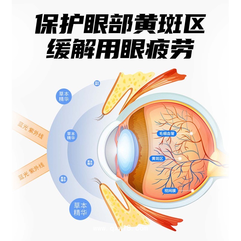 藍(lán)莓葉黃素眼貼 緩解眼干眼澀眼疲勞冷敷護(hù)水凝膠眼 貼代加工貼牌