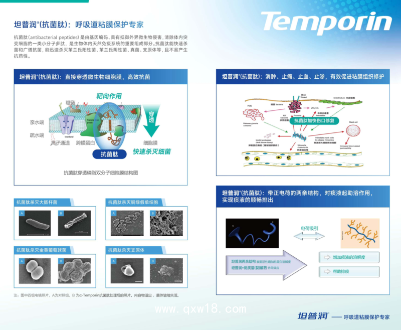 霧化含漱沖洗功能性敷料