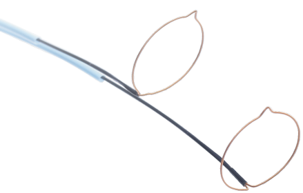 圈套器系統(tǒng)