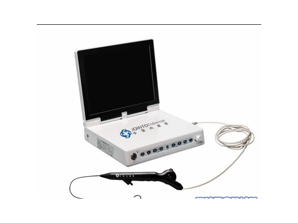 一次性使用電子輸尿管內(nèi)窺鏡導管