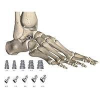 1523501111671360.png 未標(biāo)題-1.png