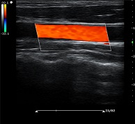 圖片關(guān)鍵詞