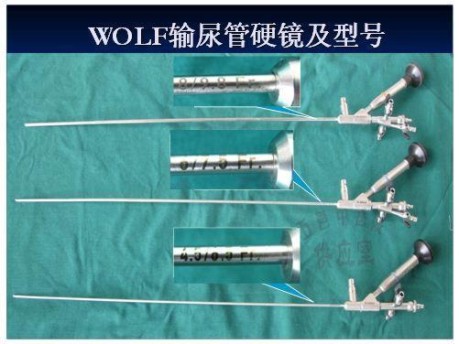 狼牌輸尿管鏡.jpg