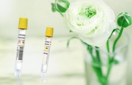 1689917523325213.jpg 19.jpg