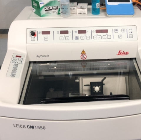 Leica CM1950臨床冷凍切片機.jpg