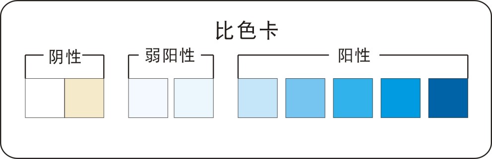 比色卡.jpg